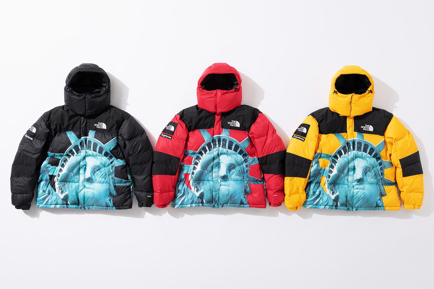 The north face new 2024 collection 2019